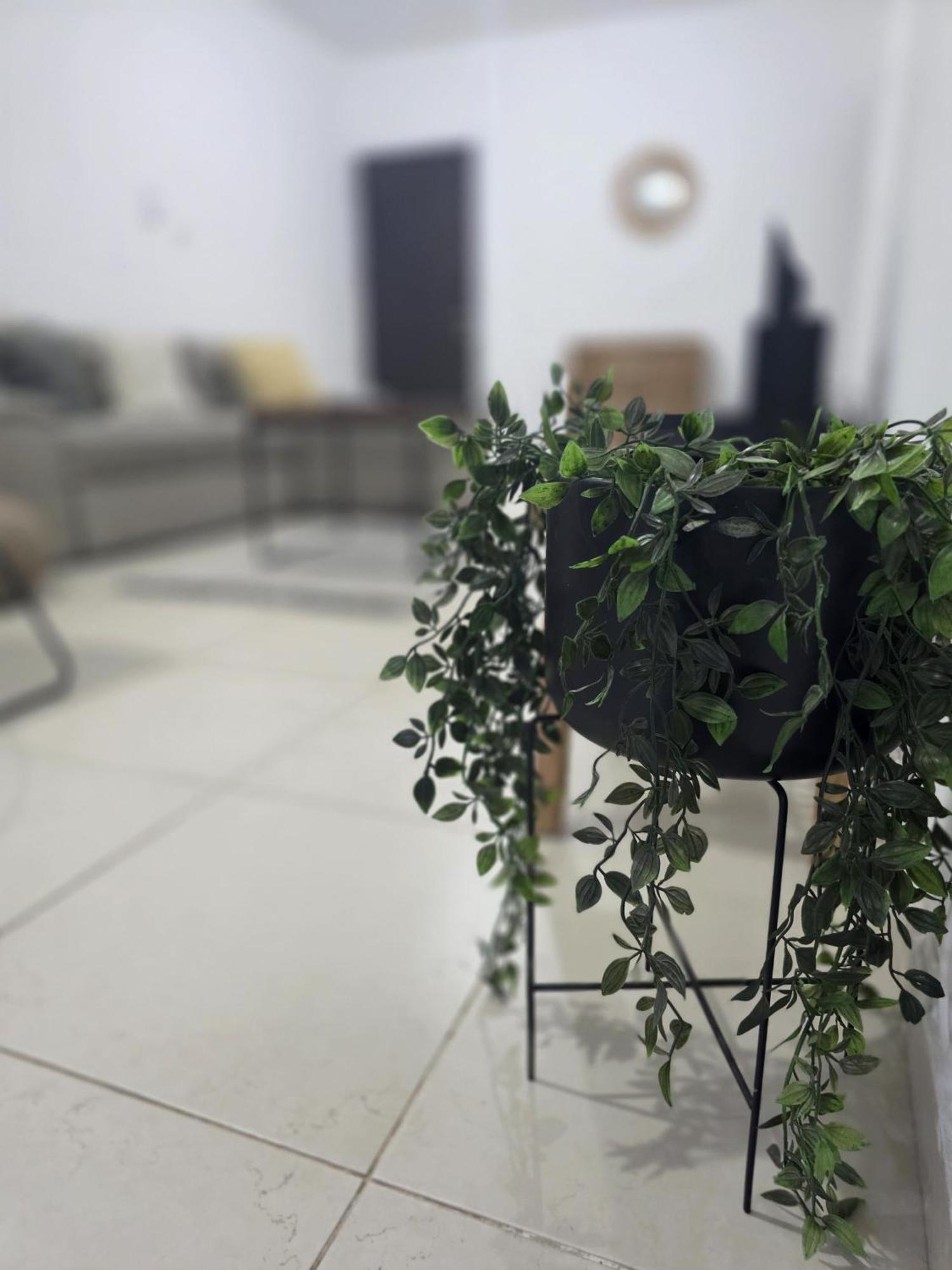 Epicurian Residence Λευκωσία Εξωτερικό φωτογραφία