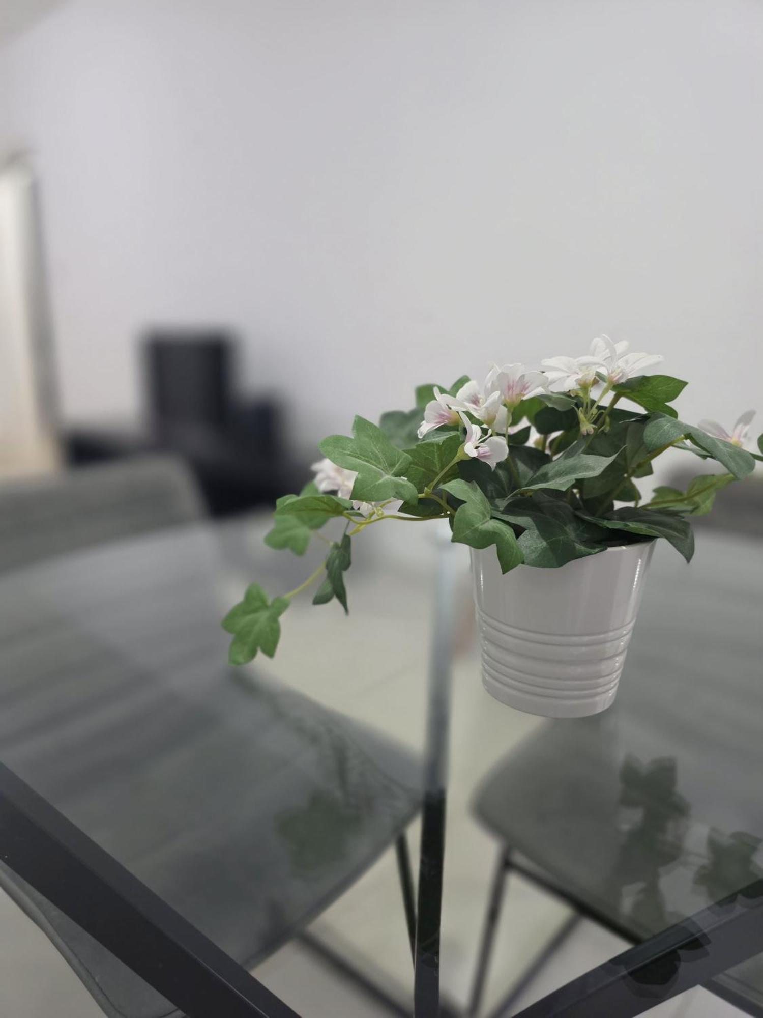 Epicurian Residence Λευκωσία Εξωτερικό φωτογραφία